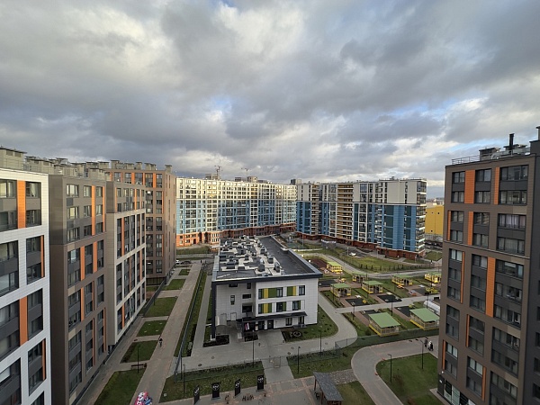 1-к квартира, 37 кв.м., Выборгский, Грибалёвой улица, д.7к1