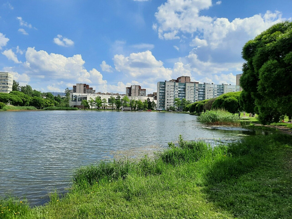Комната , 204 кв.м.